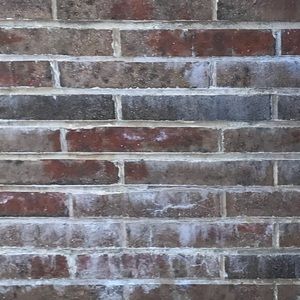 Meet your Posher, Ash